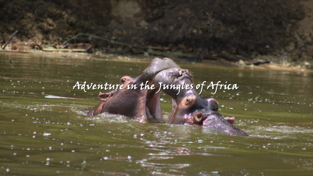 Uganda Safaris Tour