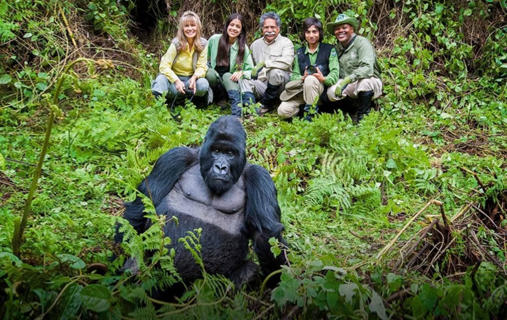 Gorilla Tracking/trekking Tours Africa